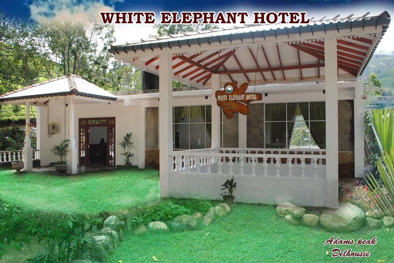 White Elephant Hotel Maskeliya Zewnętrze zdjęcie